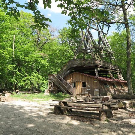 Vila Ochys Waldfreizeitpark Oberkreuzstetten Exteriér fotografie
