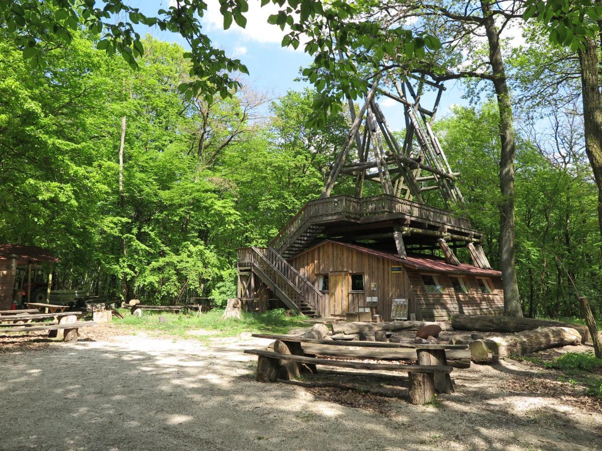 Vila Ochys Waldfreizeitpark Oberkreuzstetten Exteriér fotografie