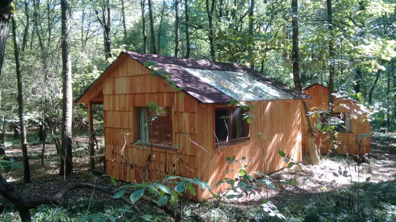 Vila Ochys Waldfreizeitpark Oberkreuzstetten Exteriér fotografie